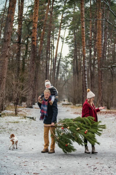 Famille porte un arbre — Photo