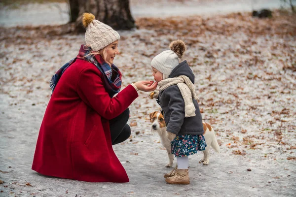 Mamma con figlia e cane nel parco — Foto Stock