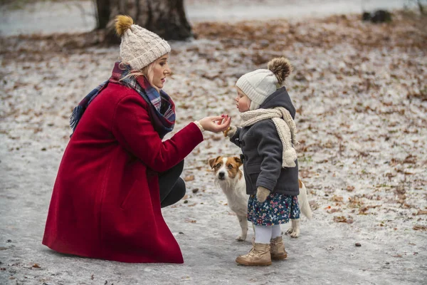 Мама с дочерью и собакой в парке — стоковое фото