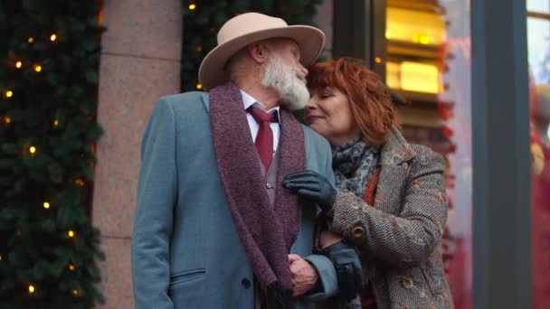 Elderly couple walking the streets — Stock Video