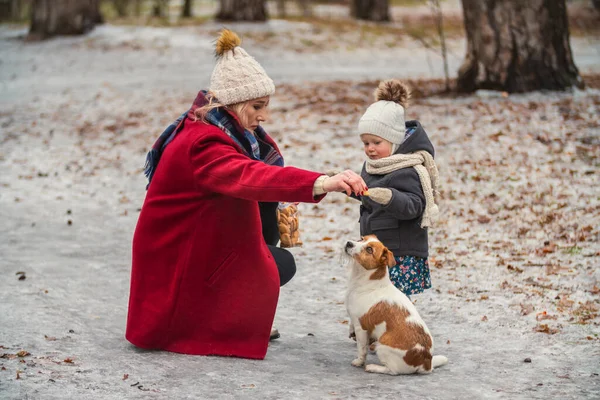 Moeder met dochter en hond in het park — Stockfoto