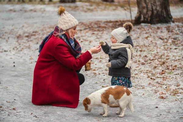 Parkta kızı ve köpeği olan anne. — Stok fotoğraf