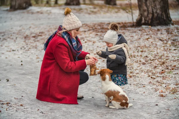 Mama z córką i psem w parku — Zdjęcie stockowe