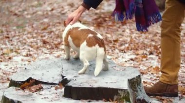 Sahibi ve köpeği yürüyüşe çıkmış.