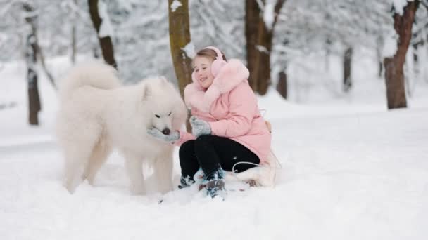 Flicka med en hund Samoyed — Stockvideo