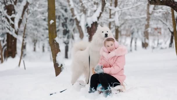 Κορίτσι με ένα σκυλί Samoyed — Αρχείο Βίντεο