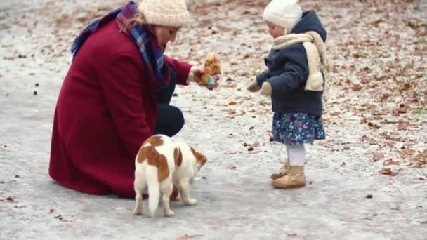 妈妈带着女儿和狗在公园里 — 图库视频影像