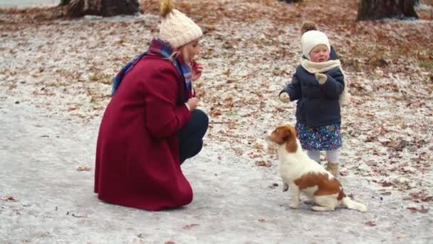 妈妈带着女儿和狗在公园里 — 图库视频影像