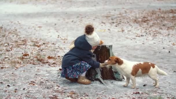 公园里带着狗的孩子 — 图库视频影像