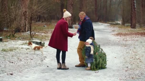 Familia lleva un árbol en el parque — Vídeo de stock