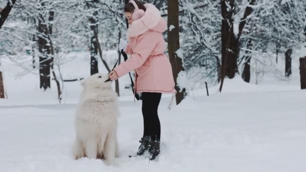 Mädchen mit Hund Samoyed — Stockvideo
