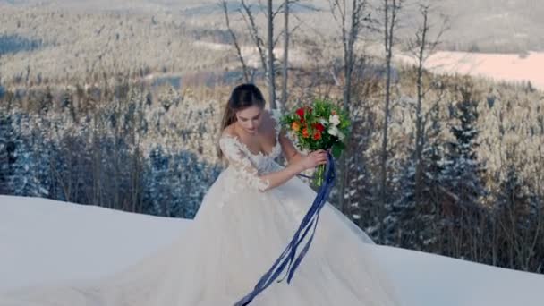 Mariée sur le fond de montagnes enneigées — Video