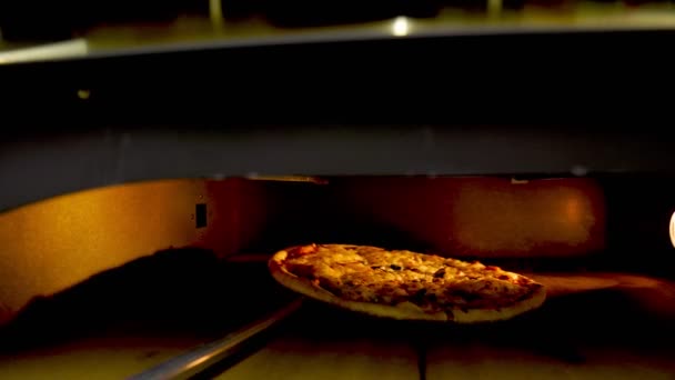 Cocinar pizza en un horno eléctrico — Vídeo de stock