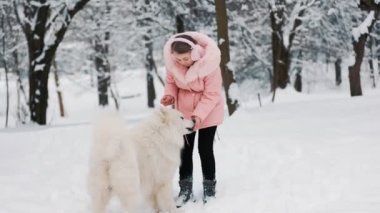 Samoyed köpeği olan bir çocuk.