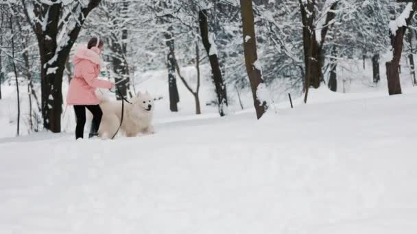 Ett barn med en samojerad hund — Stockvideo