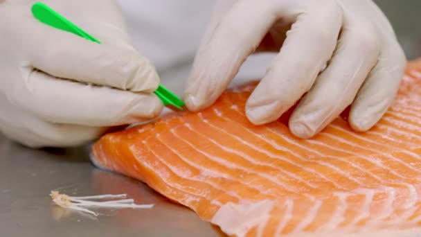 Odkostnianie filetów rybnych — Wideo stockowe