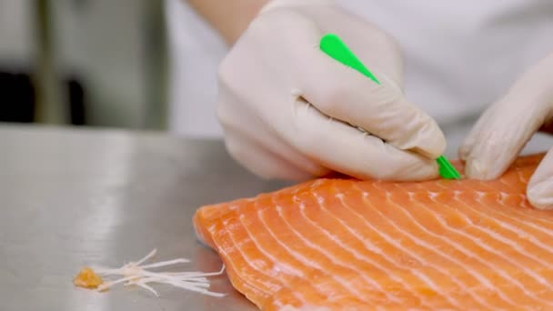 Desossagem de filetes de peixe — Vídeo de Stock