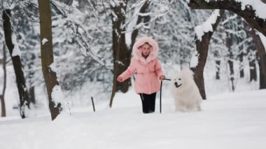 Samoyed köpeği olan bir çocuk.
