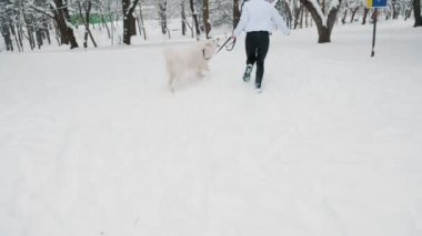 Kışın parkta köpekli bir kız