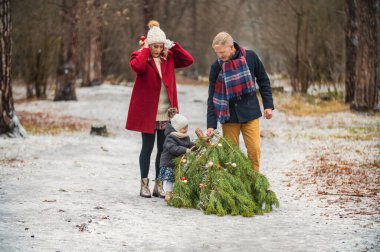 Aile bir Noel ağacı taşır.