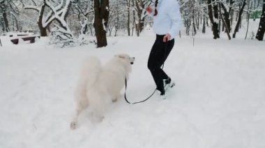Kışın parkta köpekli bir kız