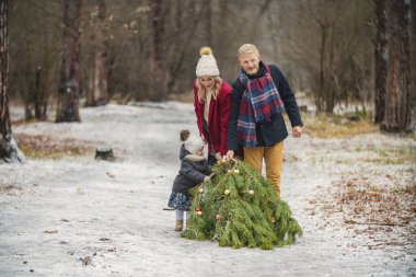 Aile bir Noel ağacı taşır.
