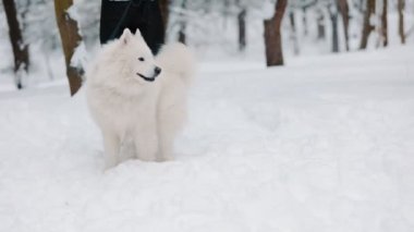Kışın parkta köpekli bir kız