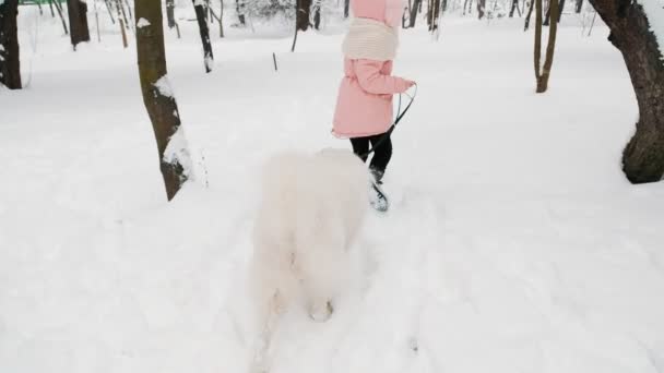 Samoyed lány kutyával — Stock videók