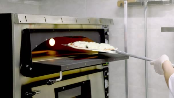 Mettere la pizza nel forno — Video Stock