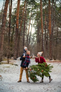 Aile bir Noel ağacı taşır.