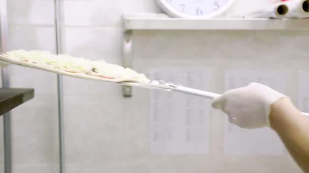Colocando pizza no forno — Vídeo de Stock