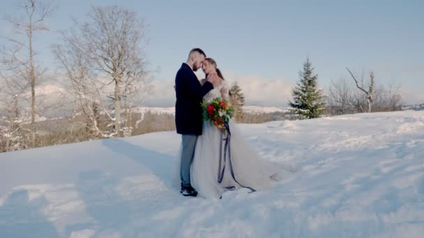 在高山背景下的新娘和新郎 — 图库视频影像