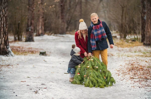 Famille porte un arbre de Noël — Photo