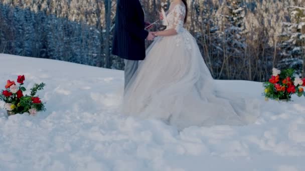 Brautpaar im Winter in der Natur — Stockvideo