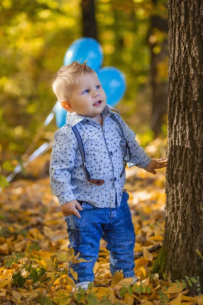 Niño pequeño en el bosque de otoño — Foto de Stock