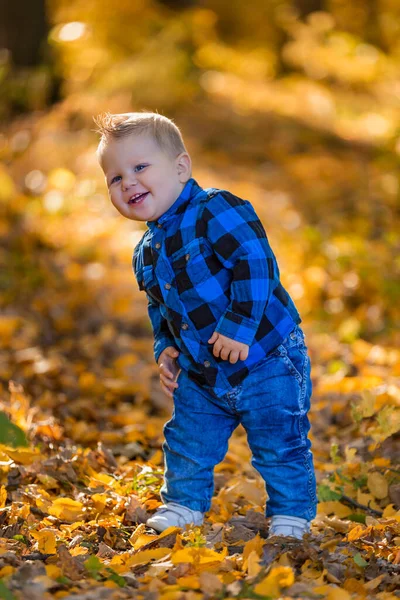 Menino em um fundo de folhas amareladas — Fotografia de Stock