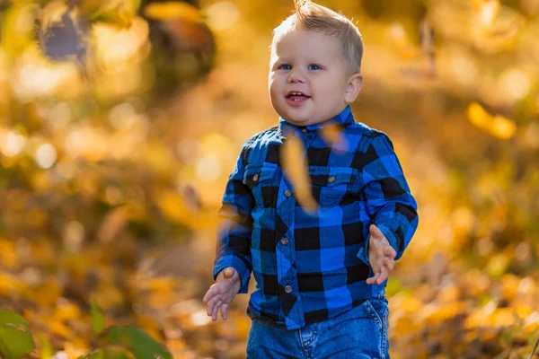 Niño sobre un fondo de hojas amarillentas —  Fotos de Stock
