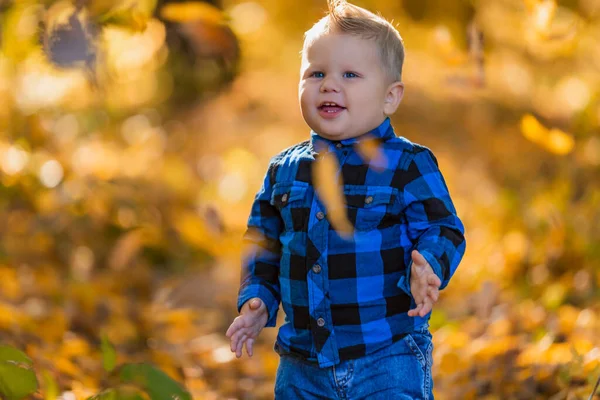 Boy on a background of yellowed leaves — Stock Photo, Image