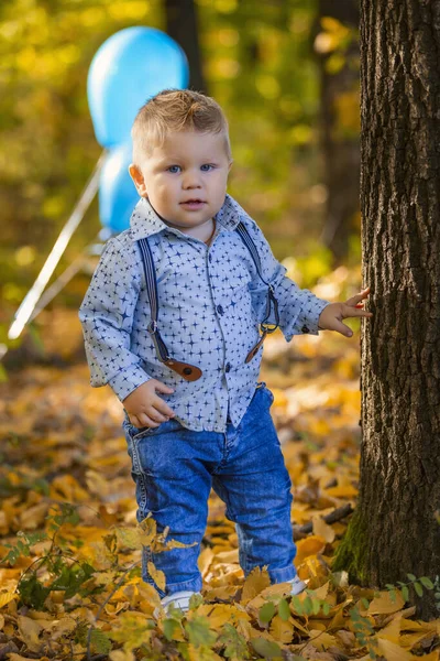 Kisfiú az őszi erdőben — Stock Fotó