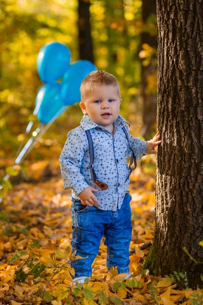 Niño pequeño en el bosque de otoño —  Fotos de Stock