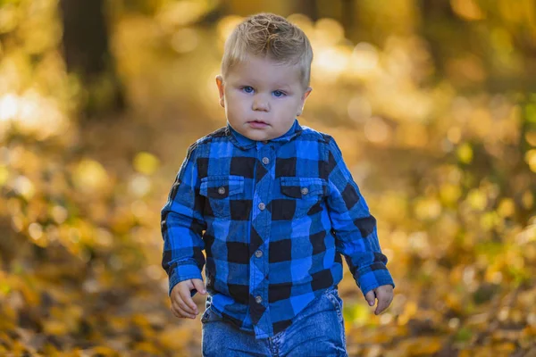 Niño sobre un fondo de hojas amarillentas —  Fotos de Stock