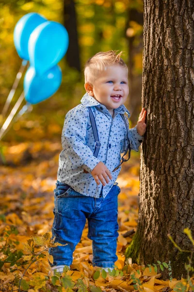 Menino na floresta de outono — Fotografia de Stock