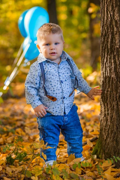 Niño pequeño en el bosque de otoño —  Fotos de Stock