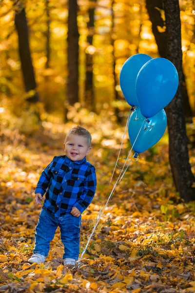 Niño pequeño en el bosque de otoño —  Fotos de Stock