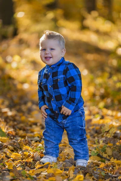 Boy on a background of yellowed leaves — Stock Photo, Image