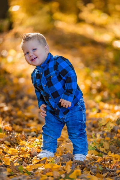 Niño sobre un fondo de hojas amarillentas —  Fotos de Stock