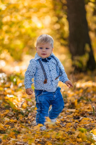 Menino em um fundo de folhas amareladas — Fotografia de Stock