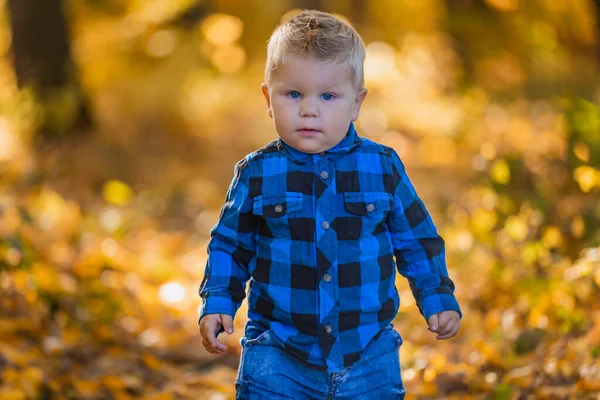 Chłopiec spacery w przyrodzie — Zdjęcie stockowe
