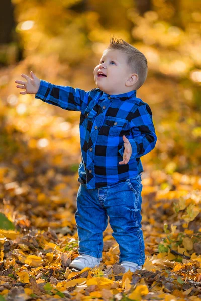 Niño sobre un fondo de hojas amarillentas —  Fotos de Stock