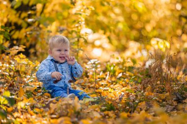 Doğada yürüyen çocuk